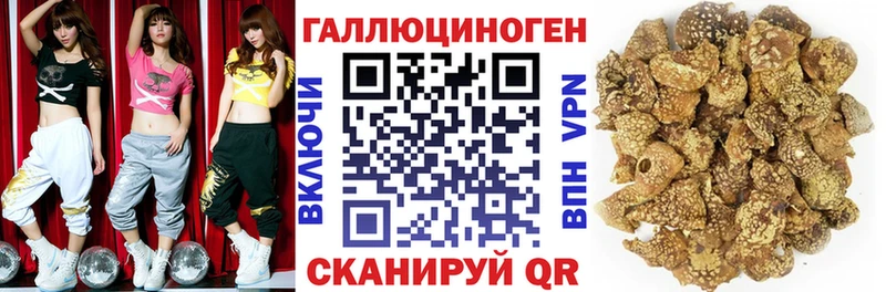 Псилоцибиновые грибы ЛСД  Купить  Усть-Лабинск 